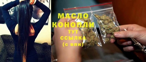 твердый Медногорск